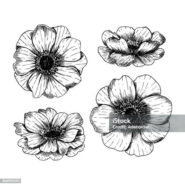 Family Dinner Top View Illustration Dinner Table Background Engraved Style Illustration Hero Image Vector Illustration Stock Illustration - Download Image Now