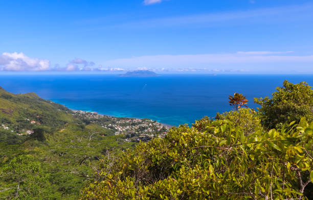 istock Seychelles nature. Mahe island. Dans Gallas trail 866907734