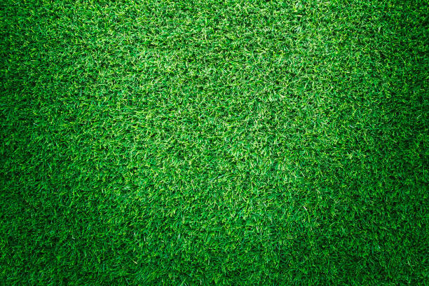 istock Artificial green grass texture or green grass background for golf course. soccer field or sports background concept design. 866908564