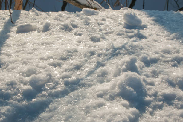 istock Fluffy white snow sparkles in the sun 866909978