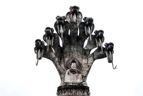 istock Buddha statue black tone on white background. 866913286