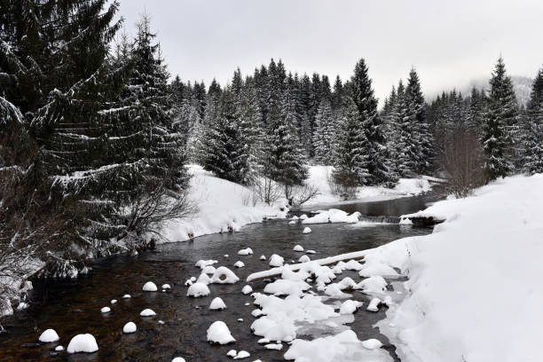 istock Small frozen river with fresh snow on the rocks 866917166