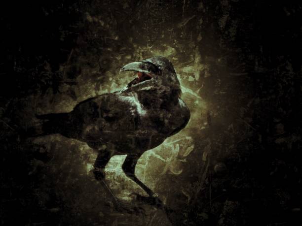 istock Crow on the background and awesome tones 866920566
