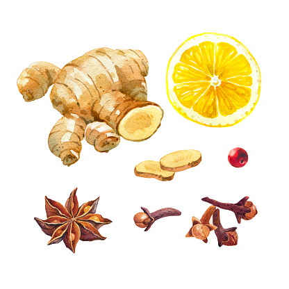 Watercolor illustration of lemon, ginger root, badiam, star anise and cloves isolated on white background with clipping paths included
