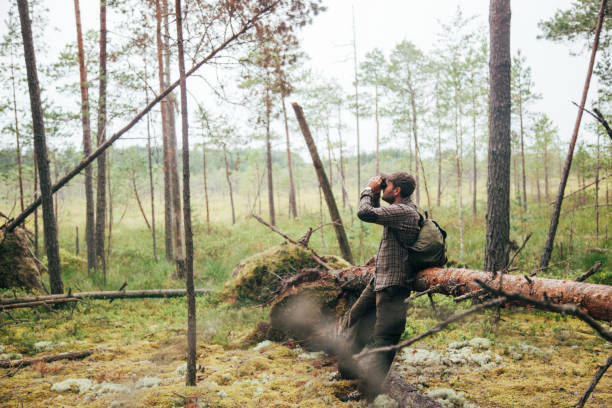 istock Bird watching in the misty bog 866925938