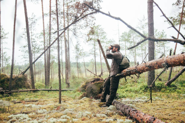 istock Bird watching in the misty bog 866925942