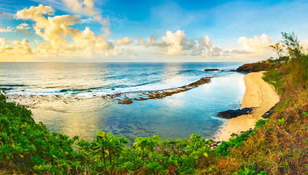 Beautiful Gris-Gris at sunrise. Panorama Gris-Gris beach at sunrise. Mauritius. Panorama gris gris mauritius stock pictures, royalty-free photos & images
