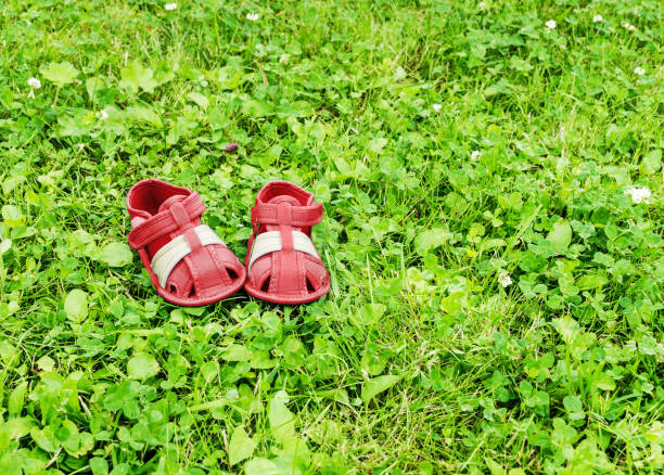 White Baby Shoes on Blanket