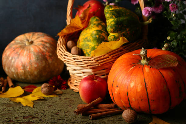 istock Autumn still life with pumpkins 866932576