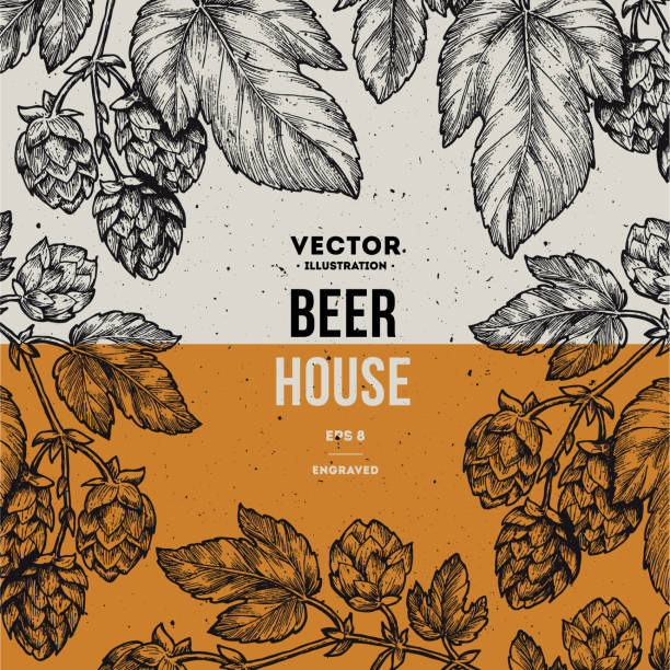 Beer hop frame. Engraved style illustration. Vintage beer design template. Vector illustration Vector illustration hops crop illustrations stock illustrations