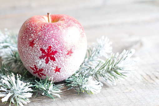 Christmas snowy apple with  tree abstract background concept closeup