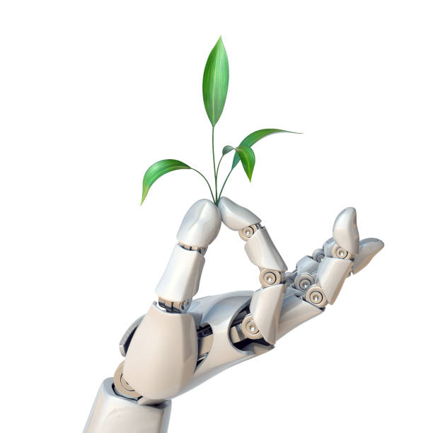 istock Robot hand holding plant, synthetic life, genetic engineering concept, 3d rendering 866936146
