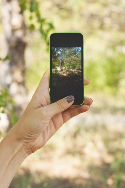 istock female hand holding a phone 866941214
