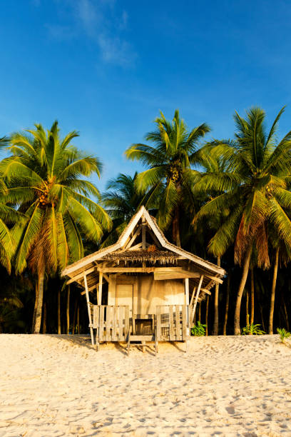 istock Beach hut on pristine tropical Philippine island 866944436
