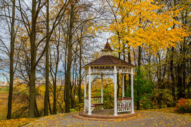 istock golden autumn in the park 866955056