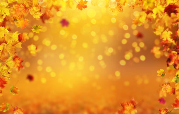 istock Autumn background with falling leaves, free space for text 866963104