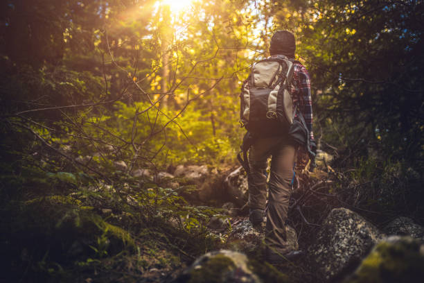 istock Young traveler walking alone in the forest at sunset 866973586