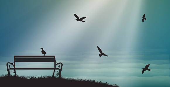 empty bench with seagulls and sun rays, shadows, memories, sea sweet dreams, vector