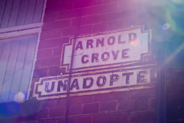 Arnold Grove Liverpool.  This was the street that George Harrison grew up on, he lived at number 12.