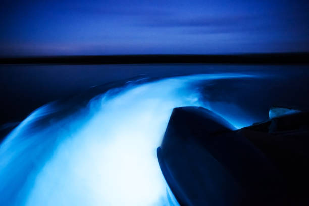 светящиеся воды - лагуна стоковые фото и изображения