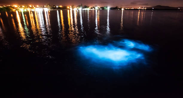 Glowing waters stock photo