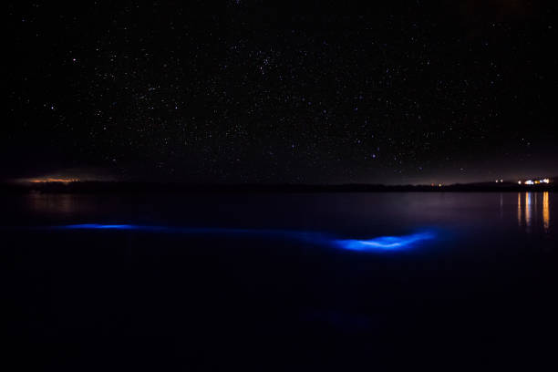 águas brilhantes - lagoon - fotografias e filmes do acervo