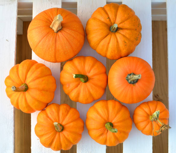 istock Little pumpkins on white wooden boards 866991728