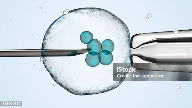 Cell Is Holding By A Pipet And A Neeldle Stock Photo - Download Image Now - In Vitro Fertilization, Stem Cell, Biological Cell
