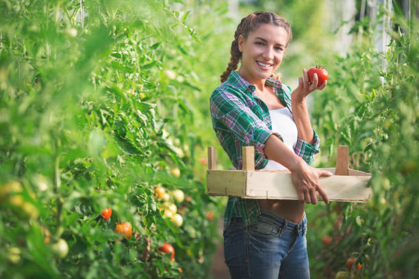 istock Woman holding a tomato and possing for camera 866995812