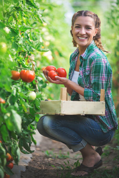 istock Young woman holding tomatoes and smiling for the camera 866998858
