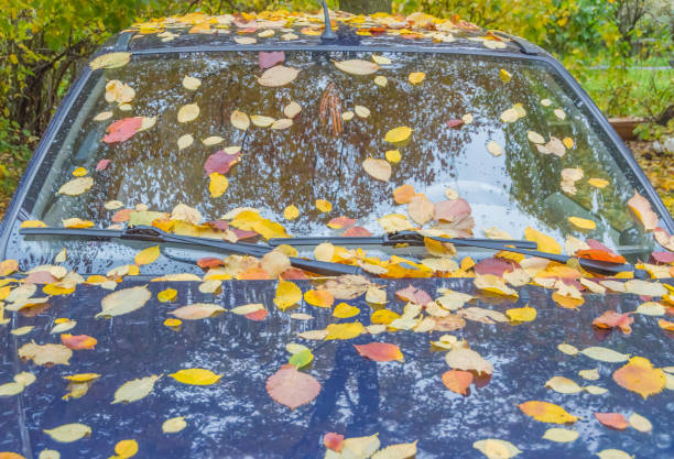 istock in the fall of parked car covered with leaves 867002010