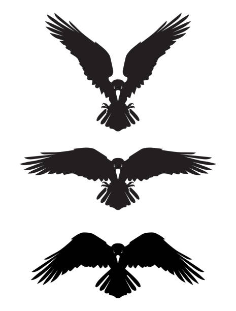 Dark Evil heraldic raven Dark Evil heraldic raven. Mascot, logotype, label. raven bird stock illustrations