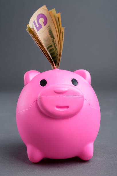 istock Front View Of Piggy Bank With Dollars 867007278