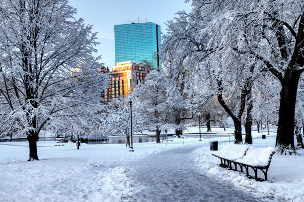 istock Snow covered Boston Public Garden 867007292