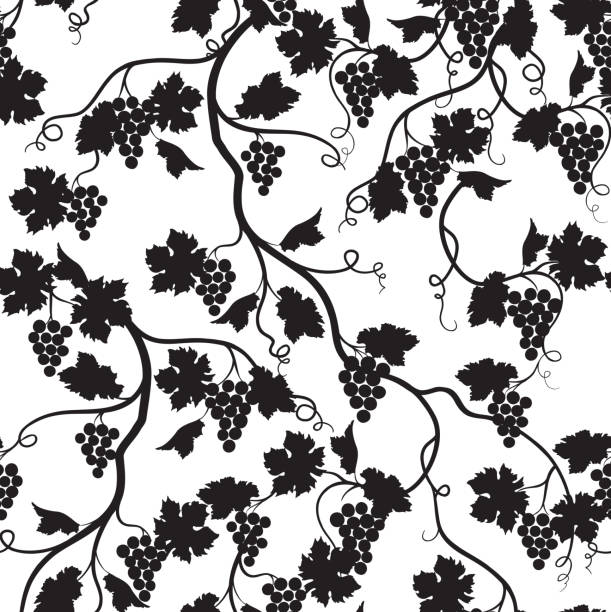 illustrations, cliparts, dessins animés et icônes de motif floral de mosaïque avec la silhouette de la branche de raisin. mur de vignes - white background food nature macro