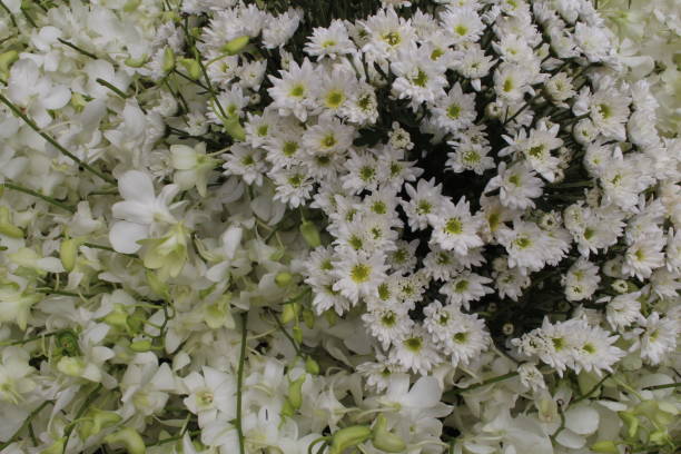 istock Flower Festival 867011874