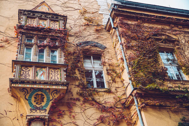 ivy in autumn day on old building