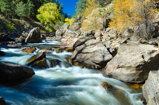 Changing fall colors in the Rocky Mountains in Colorado at Poudre River outside of Fort Collins..