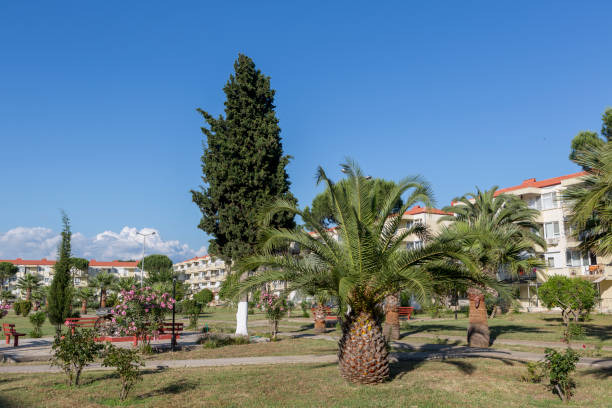 istock summer houses complex altinova ayvalik at balikesir turkey 867014850