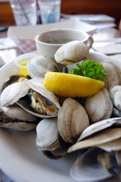 Bowl of Delicious Fresh Steamer Clams with Lemon and Broth