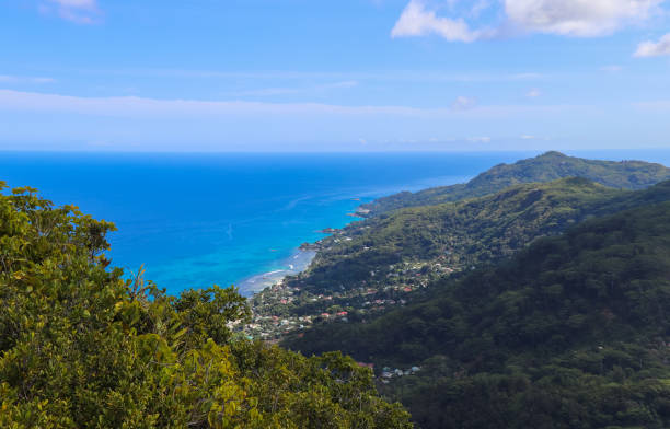 istock Seychelles nature. Mahe island. Dans Gallas trail 867018708