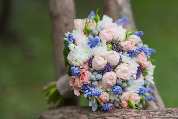 Bridal bouquet with roses, brunia and Muscari flowers. Traditional accessory for wedding.