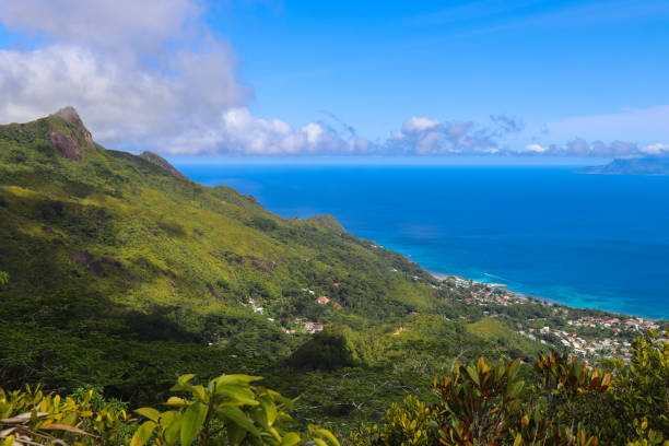 istock Seychelles nature. Mahe island. Dans Gallas trail 867022420
