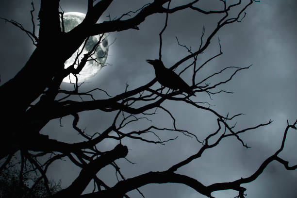 istock Halloween. Tree branches against the background of the moon. 867022806