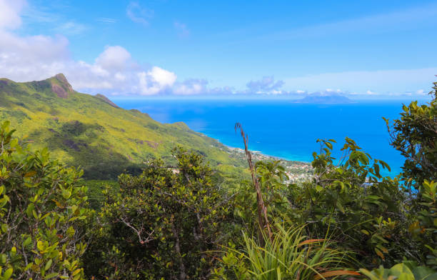 istock Seychelles nature. Mahe island. Dans Gallas trail 867023140