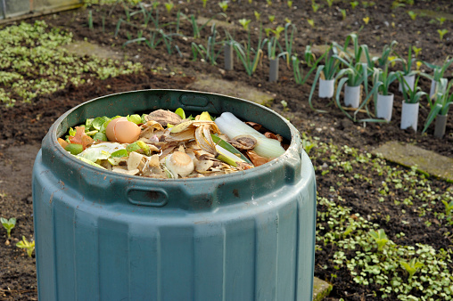 Garden compost bin for recycling kitchen food and garden waste including fruit and vegetable peelings, tea bags and egg shells.