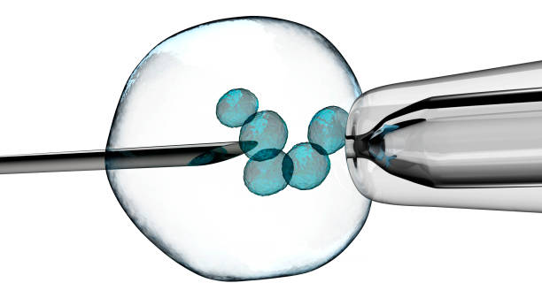 istock cell is holding by a pipet and a neeldle. 867034298