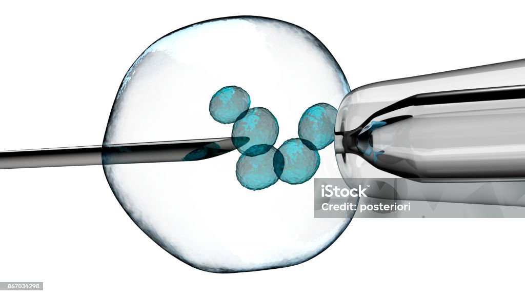 cell is holding by a pipet and a neeldle. cell is holding by a pipet and a neeldle. with clipping path, 3d illustration In Vitro Fertilization Stock Photo