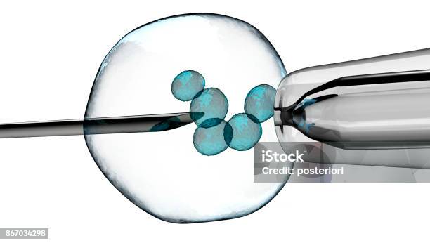 Cell Is Holding By A Pipet And A Neeldle Stock Photo - Download Image Now - In Vitro Fertilization, Human Embryo, Biotechnology