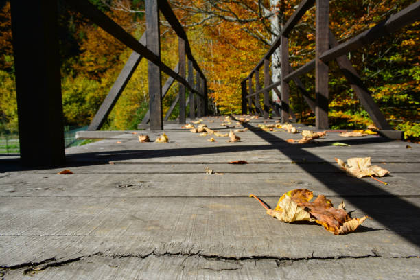 istock Autumn wooden bridge 867035472
